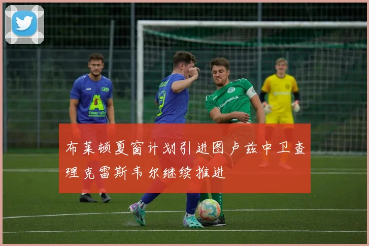 布莱顿夏窗计划引进图卢兹中卫查理克雷斯韦尔继续推进